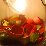 Tinkerbell Guesthouse Rome