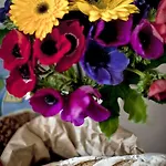 Bed & Breakfast Tinkerbell Guesthouse 4*