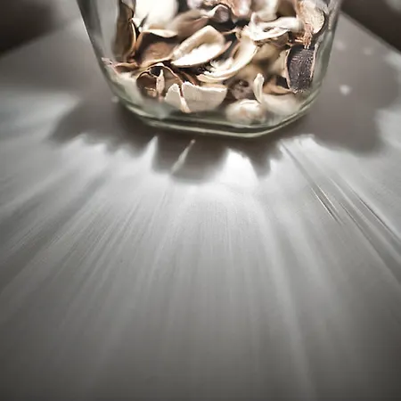 Frühstückspension Tinkerbell Guesthouse