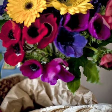 Frühstückspension Tinkerbell Guesthouse 4*