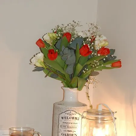 Tinkerbell Guesthouse Rom